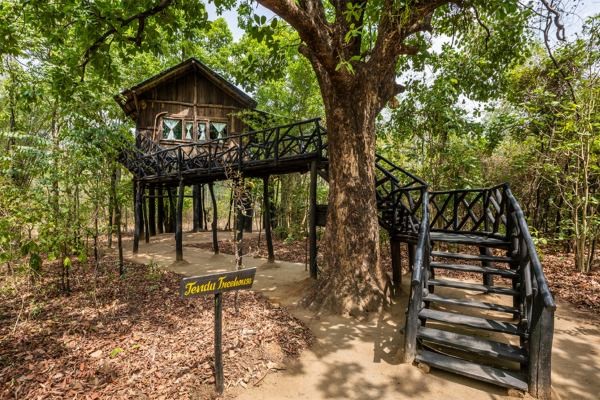 South India Wildlife Tour