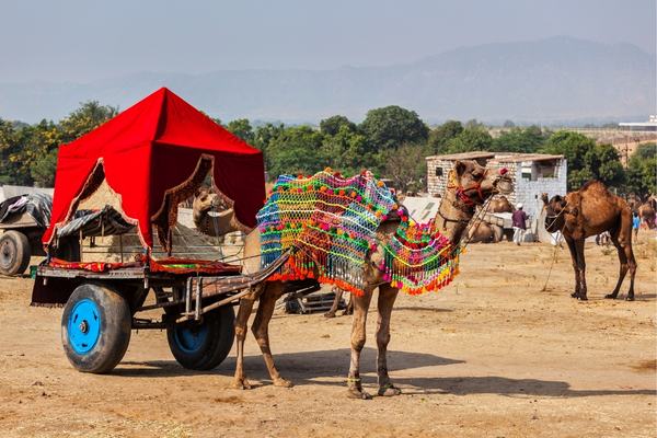 Classic Rajasthan Tour