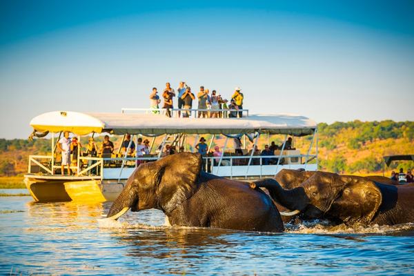 Golden Triangle Tour with Chambal Safari