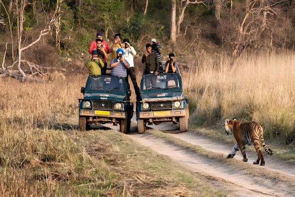 Corbett Wildlife Tour