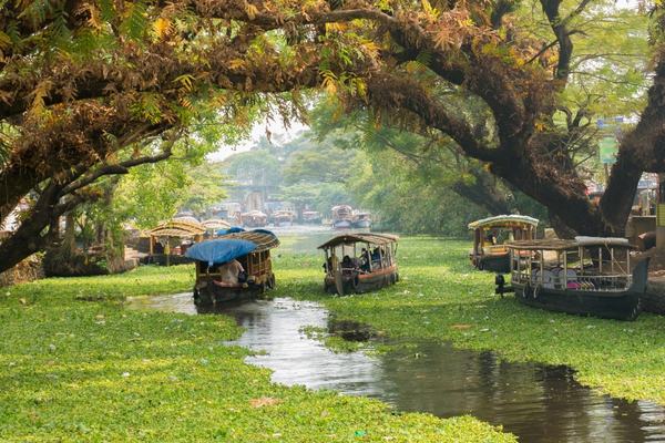 Kerala Hill Station & Backwater Tour
